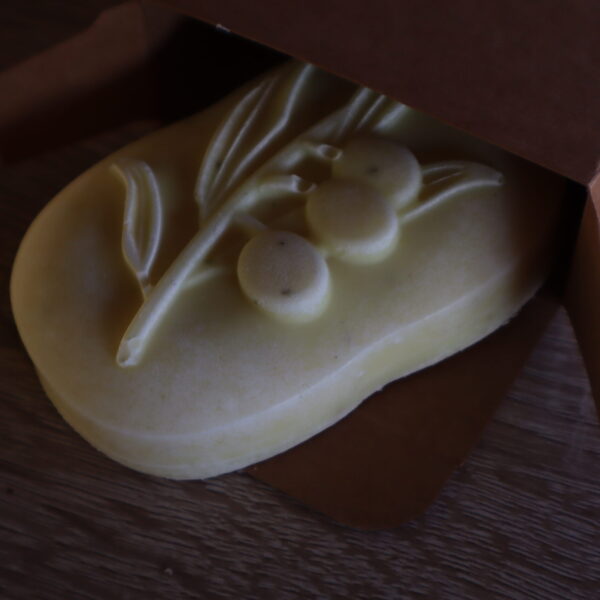 Domaći sapuni od divljeg kestena