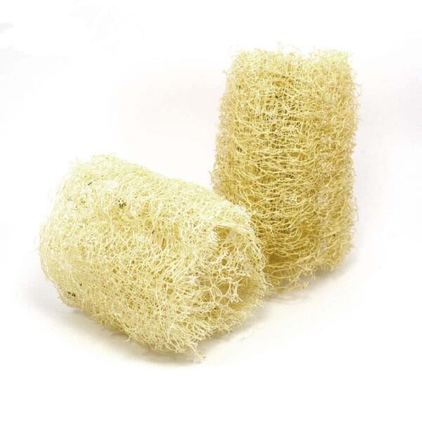 Sundjer od biljke lufe