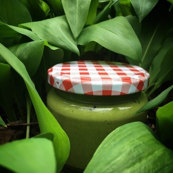 Pesto sos od sremusa