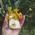 Sapun "SMILJE"